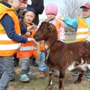 Kozy nikoho netrkly a bříško si pěkně nacpaly. 