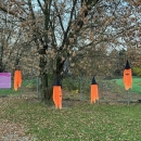¨7.4. dýně (4).jpg
