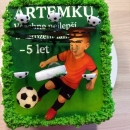 17. Artemek 5 narozeniny (22).jpg