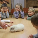 Něco chlupatého.