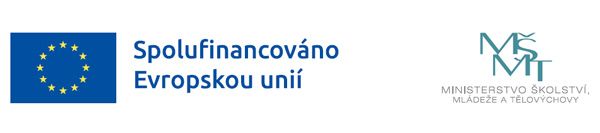 Personální a edukativní rozvoj v Mateřské škole KINDER-CITY